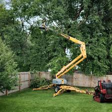 How Our Tree Care Process Works  in  Mount Pleasant, WI